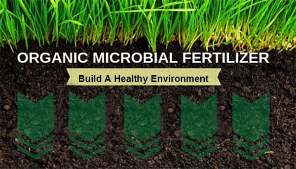 Biofertilizer for lawn