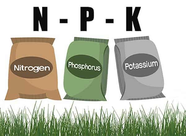 NPK Fertilizer for lawn