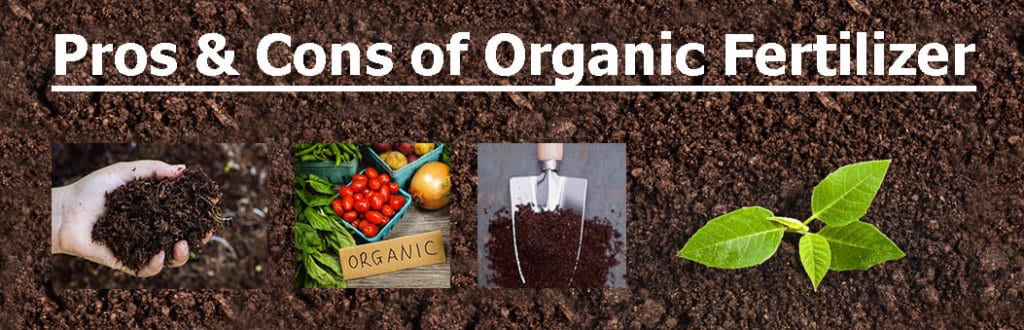 Pros & cons of organic fertilizer
