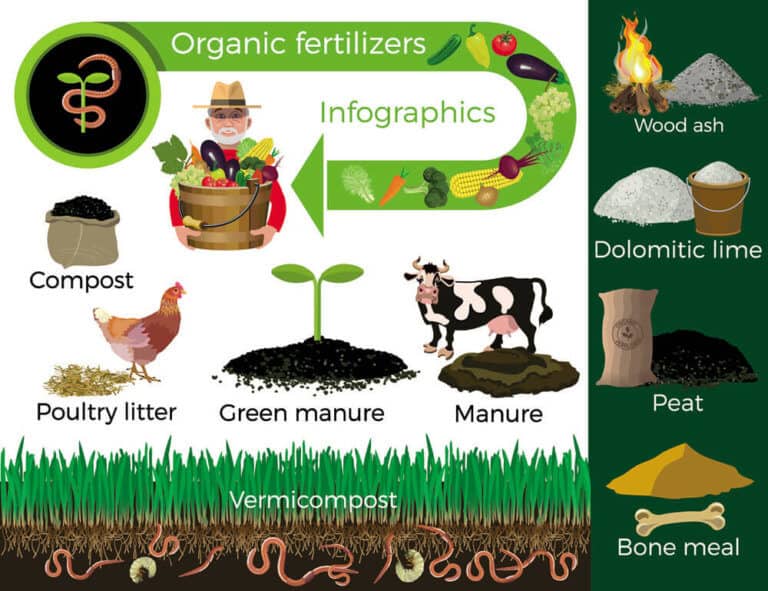 What is Organic Fertilizer Definition