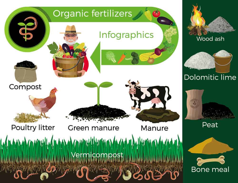 organic fertilizer definition